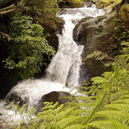 Otesha Falls Bed and Breakfast Waihi Exteriör bild