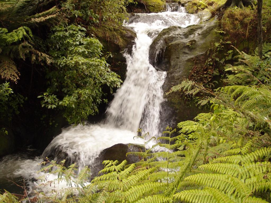 Otesha Falls Bed and Breakfast Waihi Exteriör bild